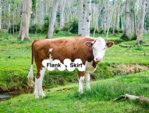 Flank and Skirt Seak on Cow