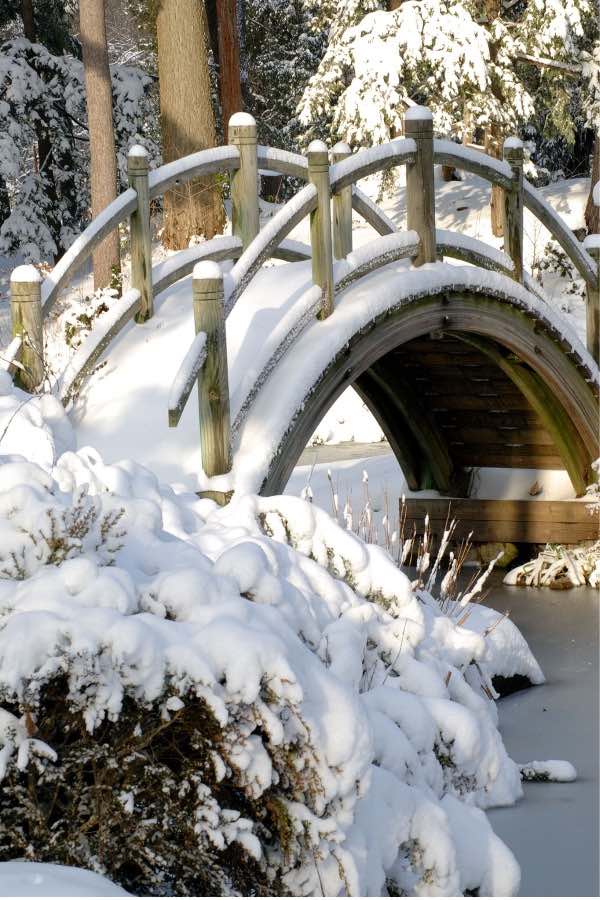 Attività di giardinaggio invernale