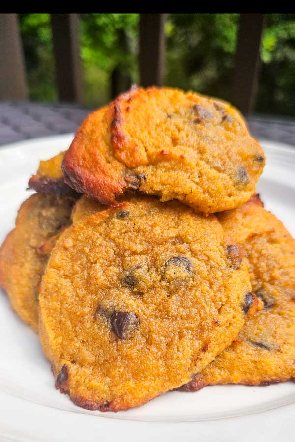 Keto Pumpkin Chocolate Chip Cookies